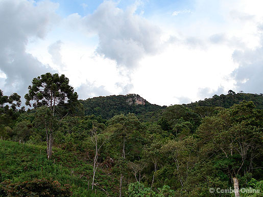 Pedra da Onça